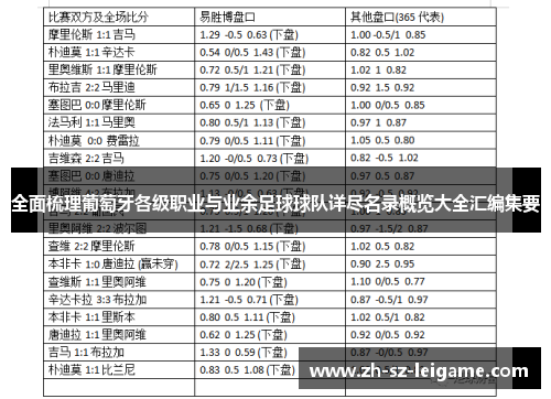 全面梳理葡萄牙各级职业与业余足球球队详尽名录概览大全汇编集要