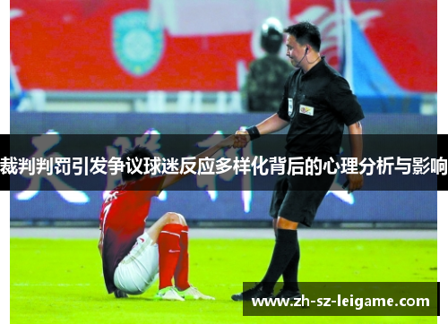 裁判判罚引发争议球迷反应多样化背后的心理分析与影响