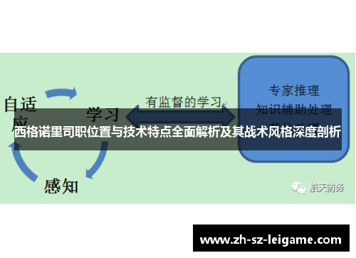 西格诺里司职位置与技术特点全面解析及其战术风格深度剖析 西格诺里司职位置与技术特点全面解析及其战术风格深度剖析