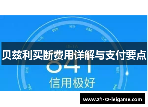 贝兹利买断费用详解与支付要点