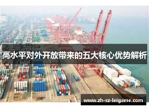 高水平对外开放带来的五大核心优势解析 高水平对外开放带来的五大核心优势解析