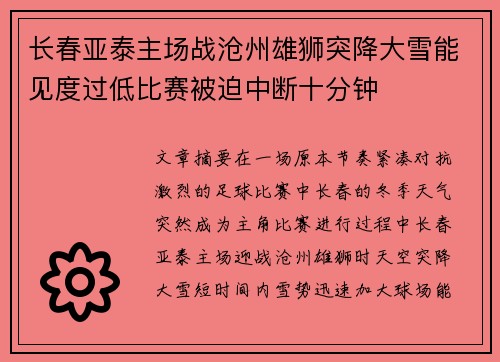 长春亚泰主场战沧州雄狮突降大雪能见度过低比赛被迫中断十分钟